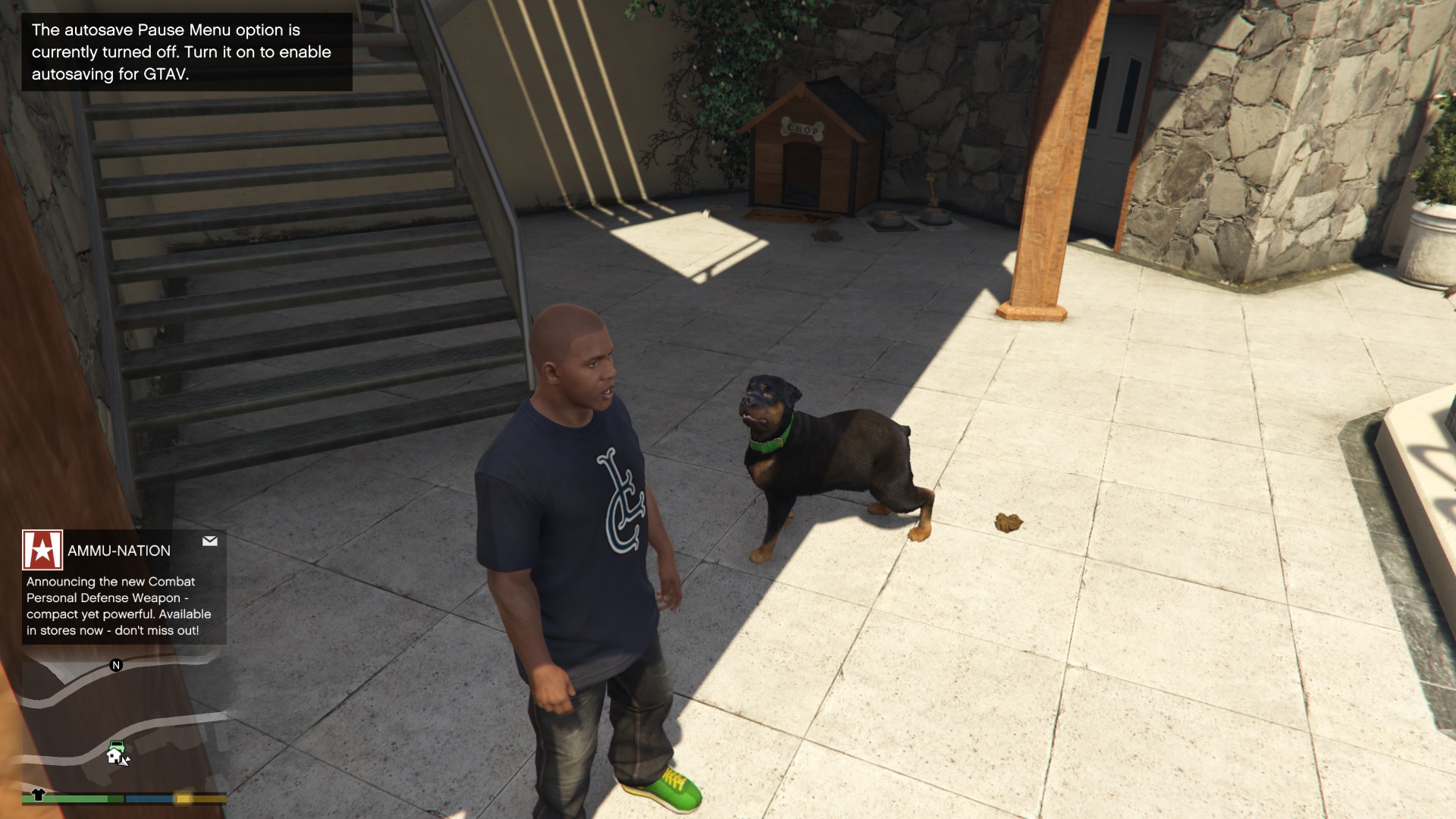 How To Play With Chop in GTA 5