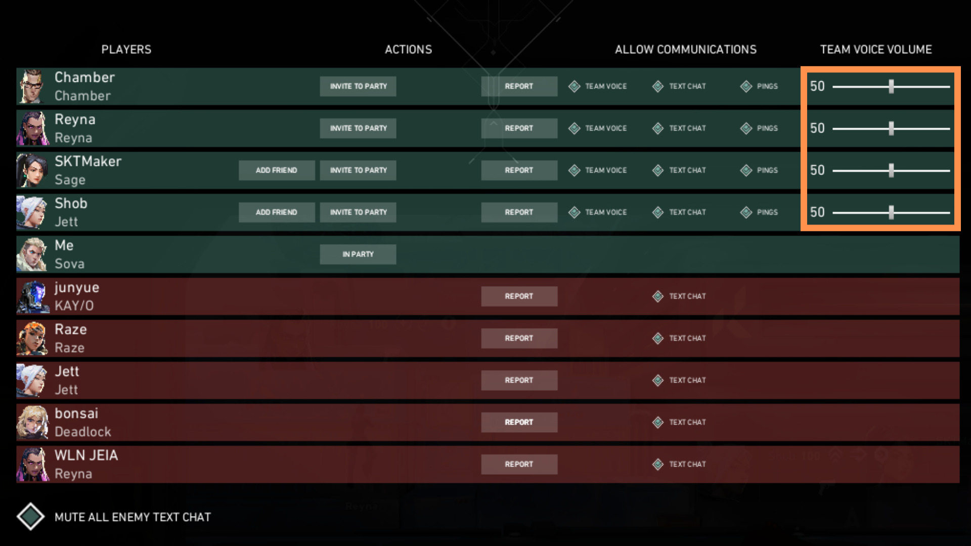Adjust the Team Voice volume slider so your teammates won't sound like they're muted. 