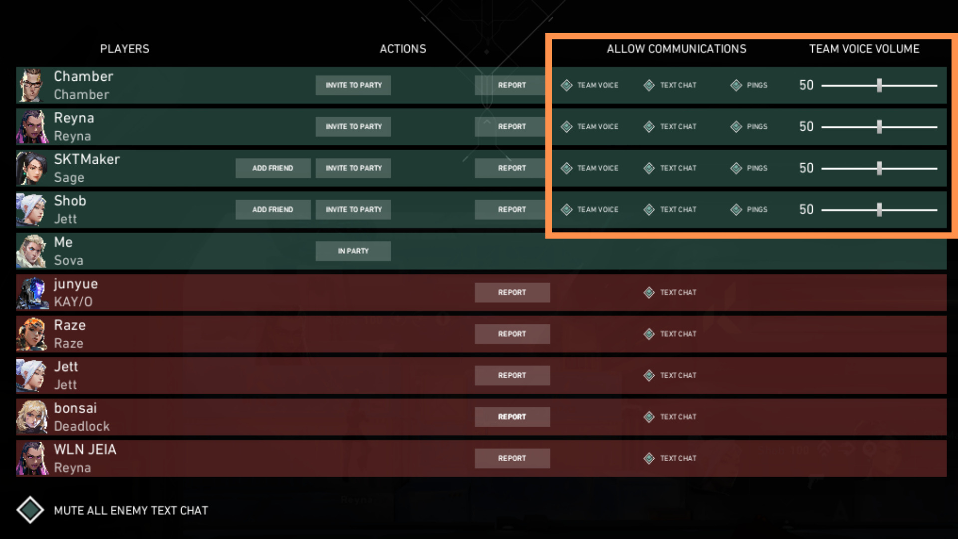 A screenshot of the teammates screen in Valorant