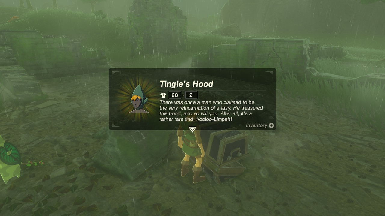 A screenshot of Tingle's Hood