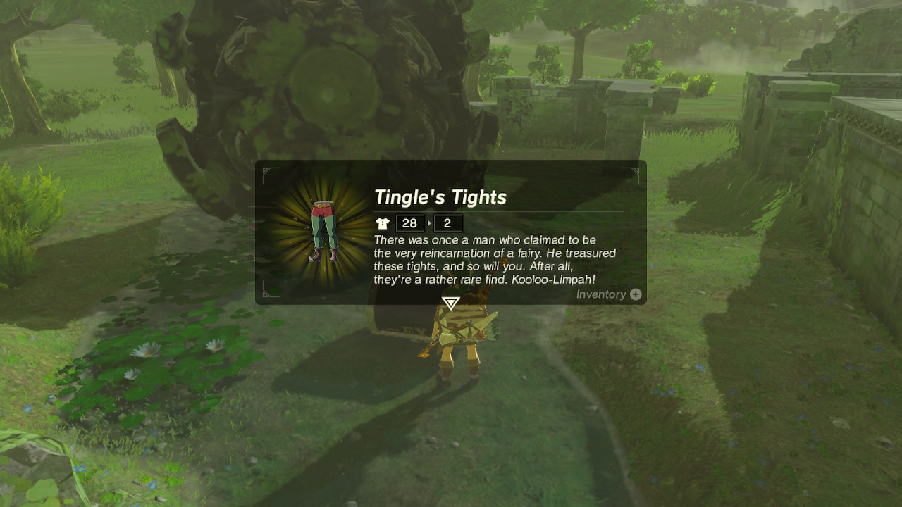 A screenshot of Tingle's Tights