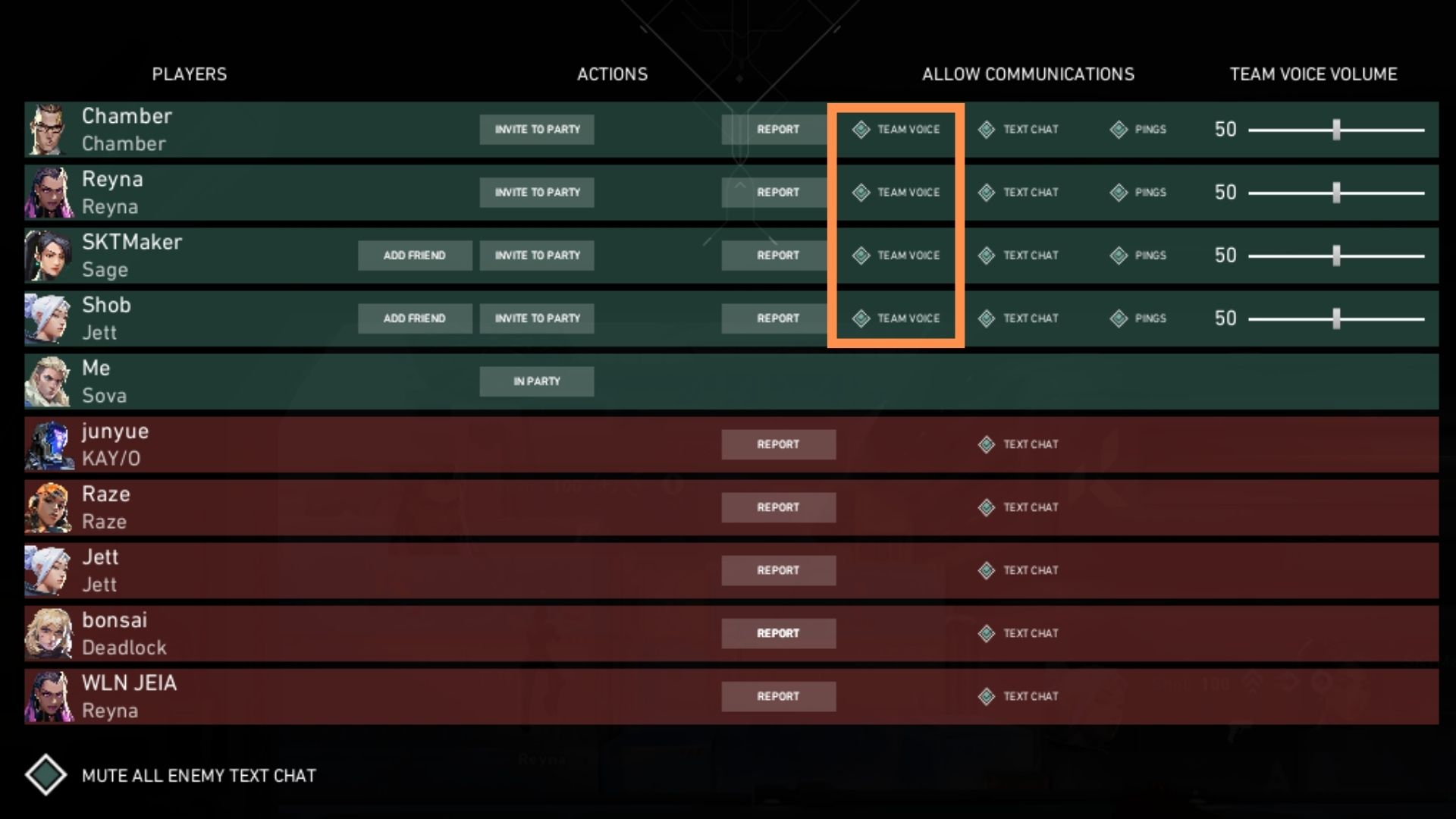 Your teammates will be muted if you have the Team Voice option disabled. 