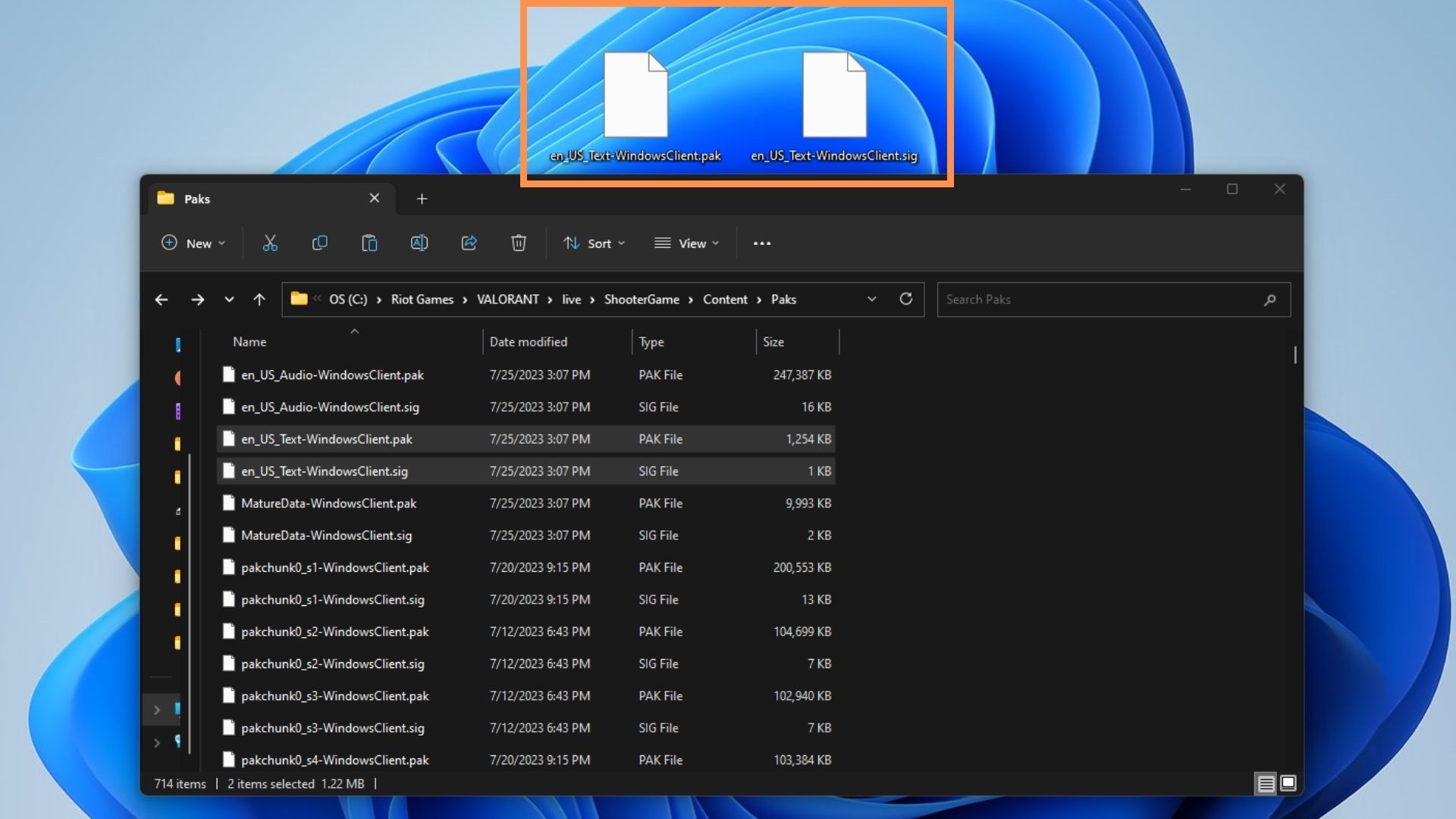 A screenshot of the File Explorer