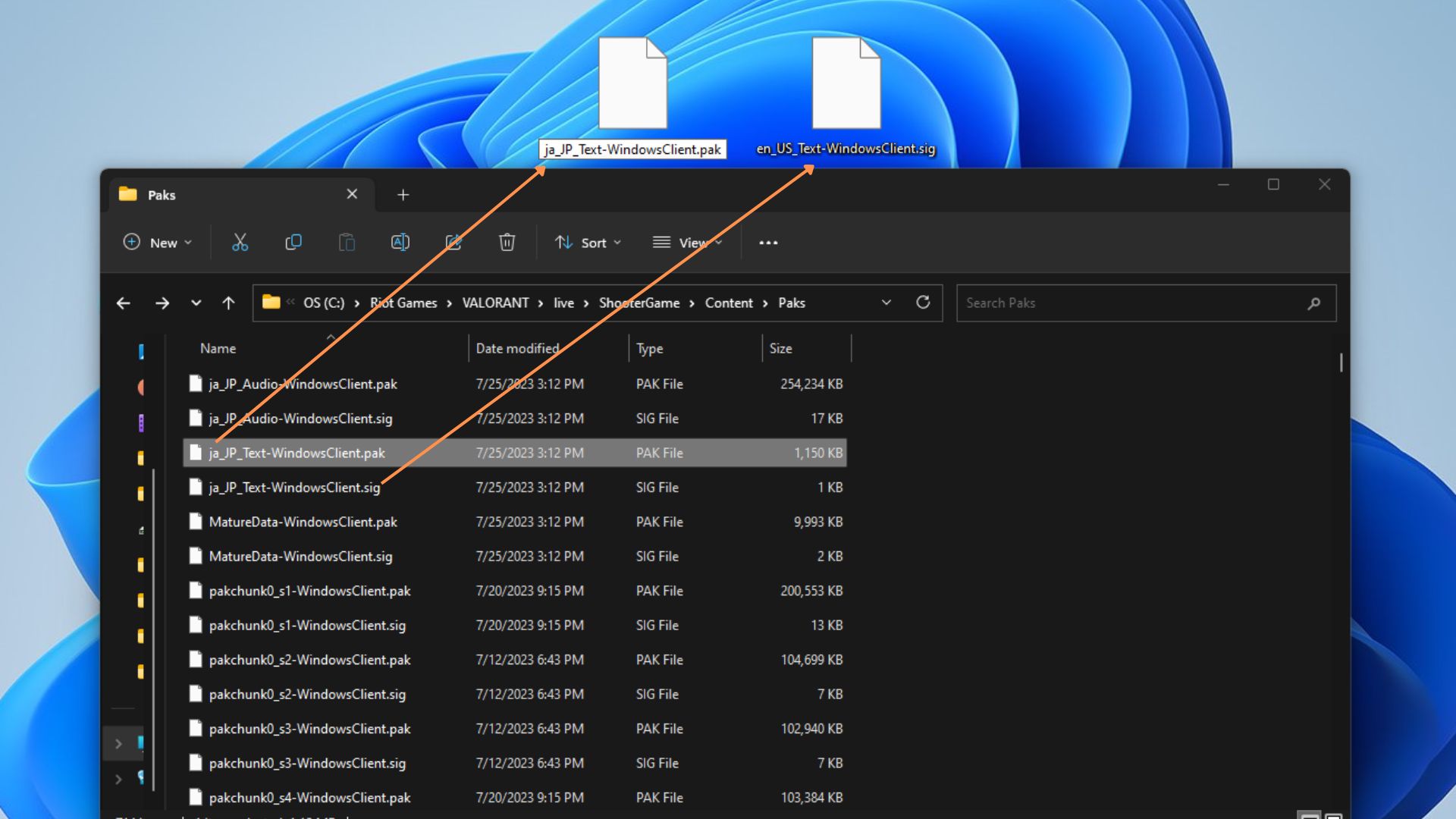 A screenshot of the File Explorer