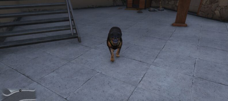 featured image gta v how to make chop happy