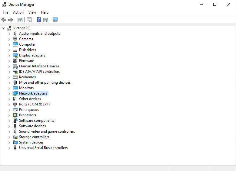A screenshot showing the Network Adapters section in the Device Manager