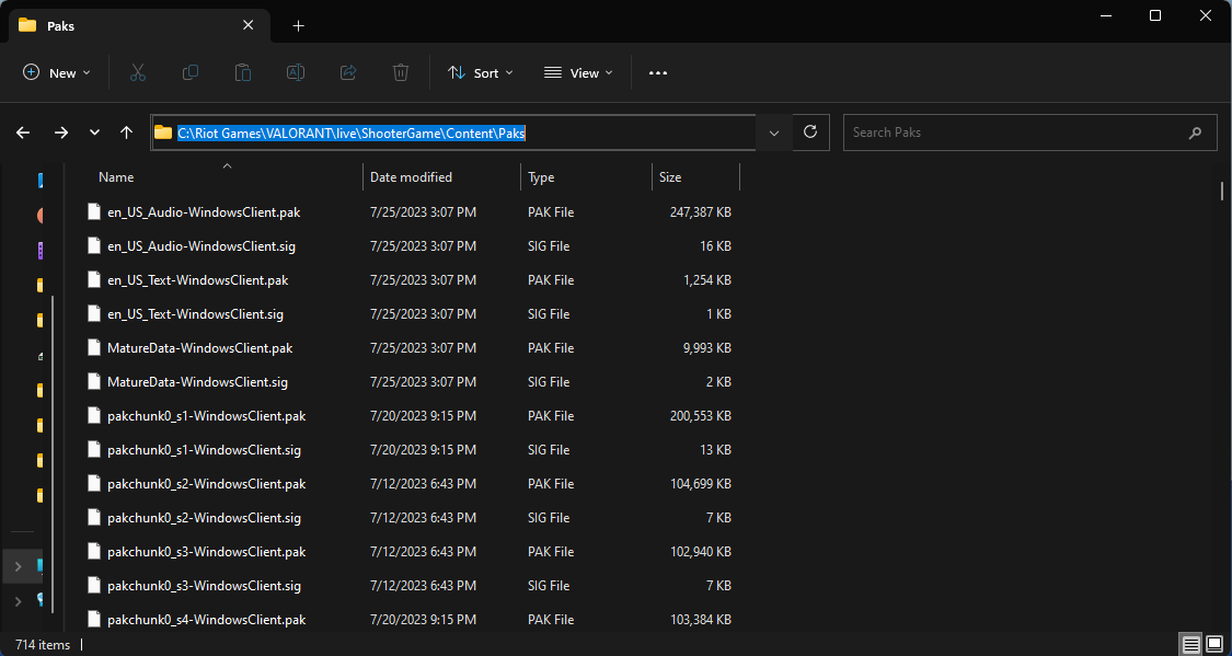 A screenshot of the File Explorer