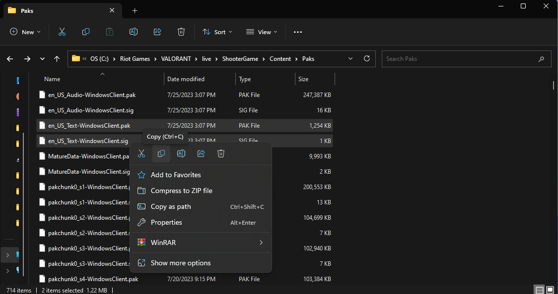 A screenshot of the File Explorer
