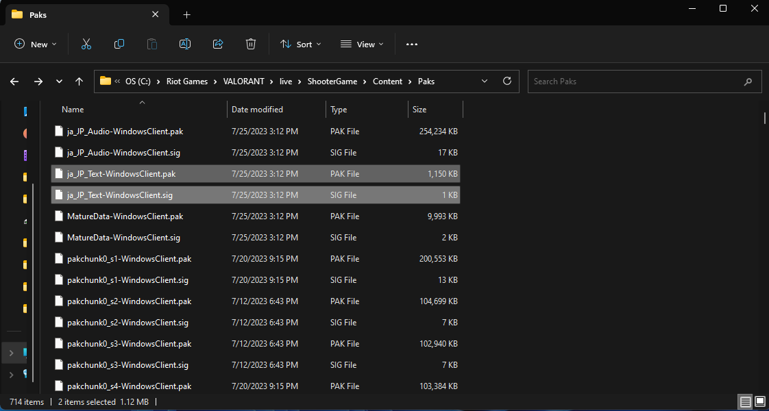 A screenshot of the File Explorer
