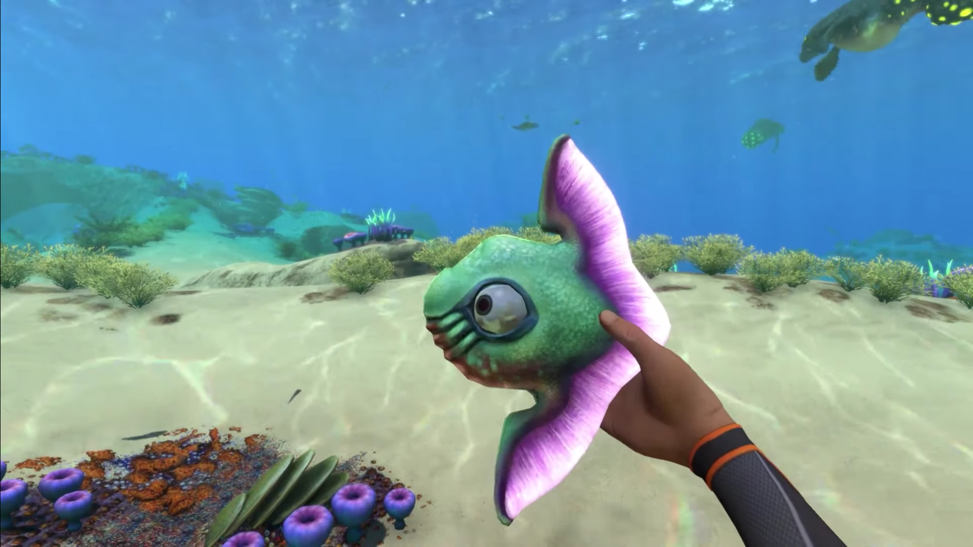 A screenshot of the player holding a Reginald fish in Subnautica