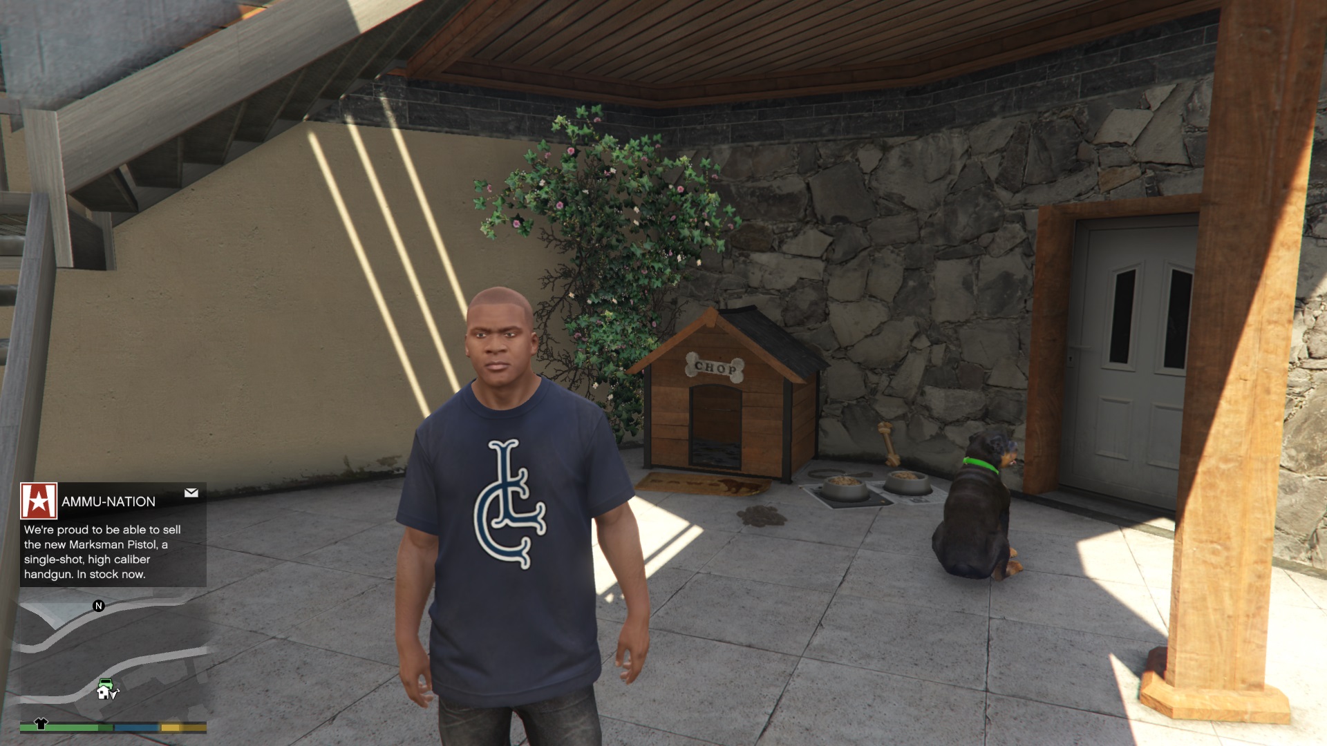 You can play with Chop in GTA 5 