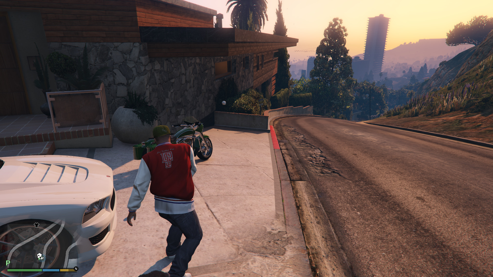 Play fetch with chop in GTA 5