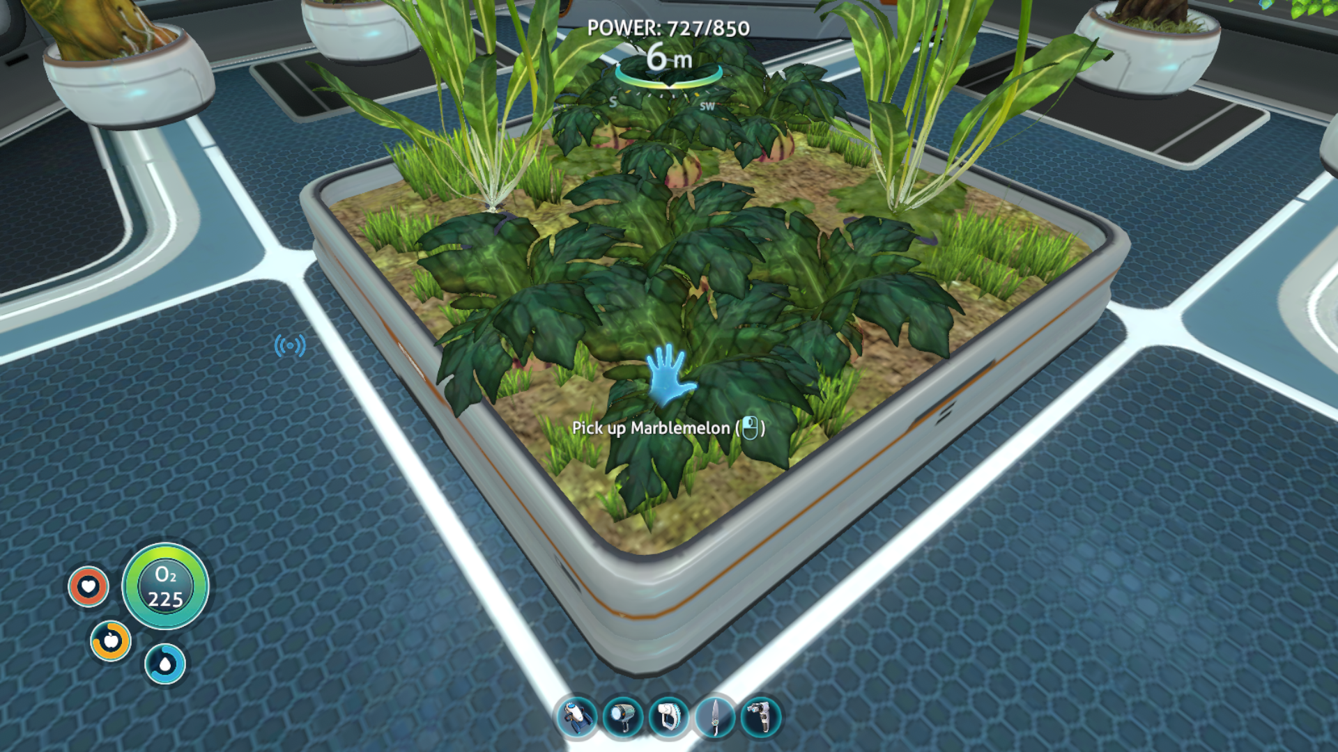 A screenshot of a grown Marblemelon plant in Subnautica
