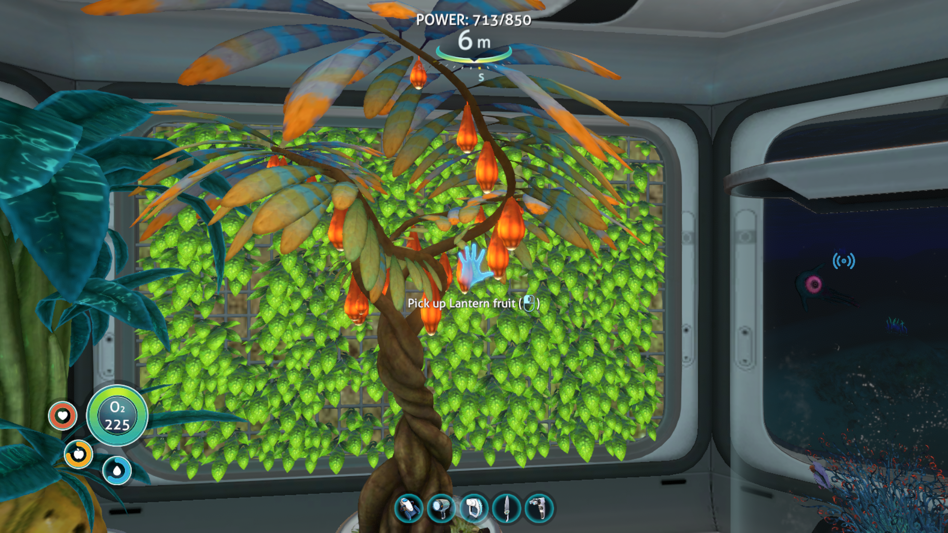 A screenshot of a grown Lantern Plant in Subnautica