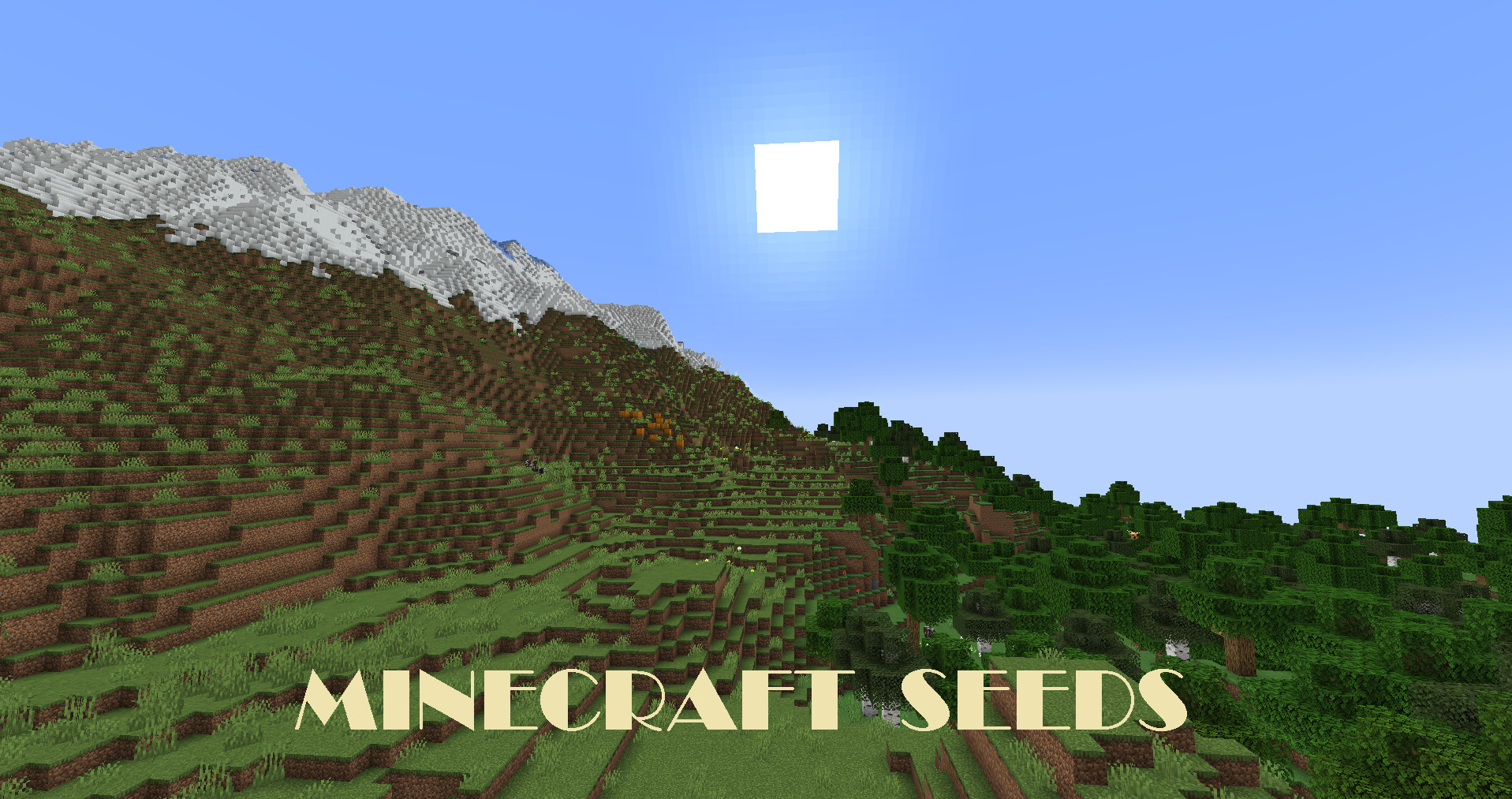 How To Find the Seed of a Server in Minecraft