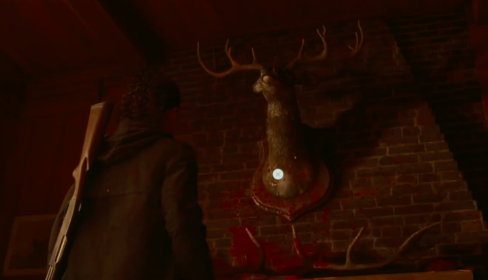 The deer head in Elderwood Palace Lodge