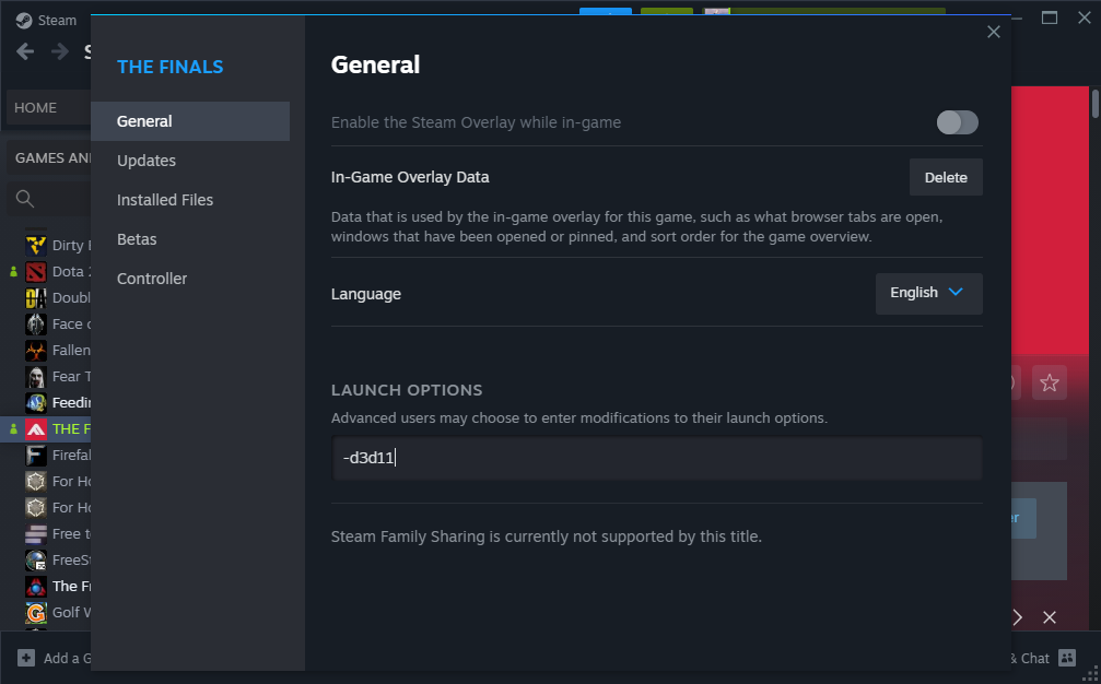 A screenshot showing the dx11 launch option on Steam to help fix stuttering in The Finals. 