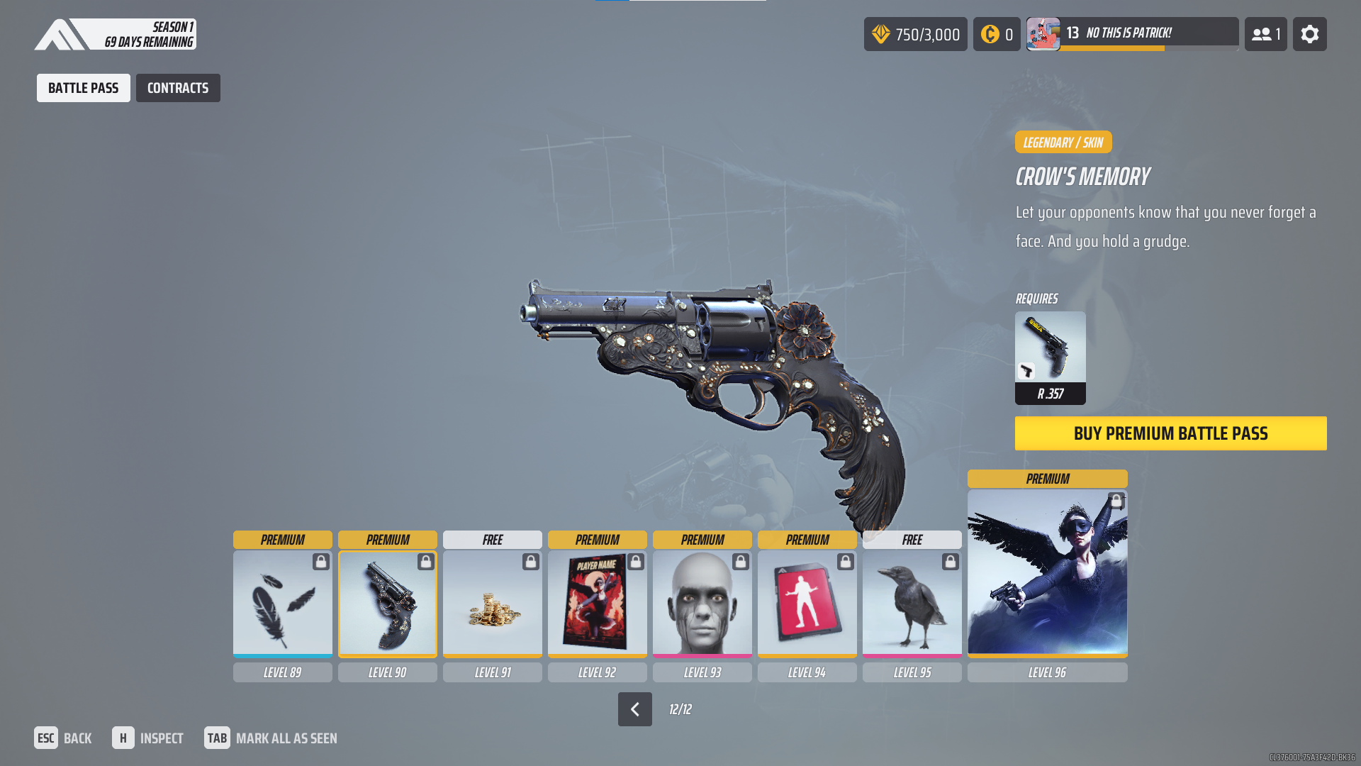 A screenshot of the Crow's Memory R. 352 skin. 