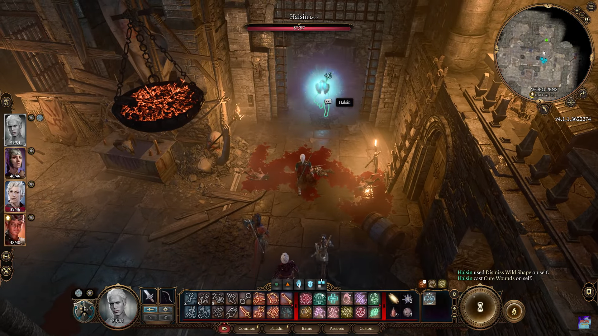 A screenshot of Halsin inside Worg Pens in Baldur's Gate 3. 
