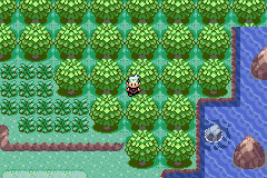 An image of the player standing among trees.