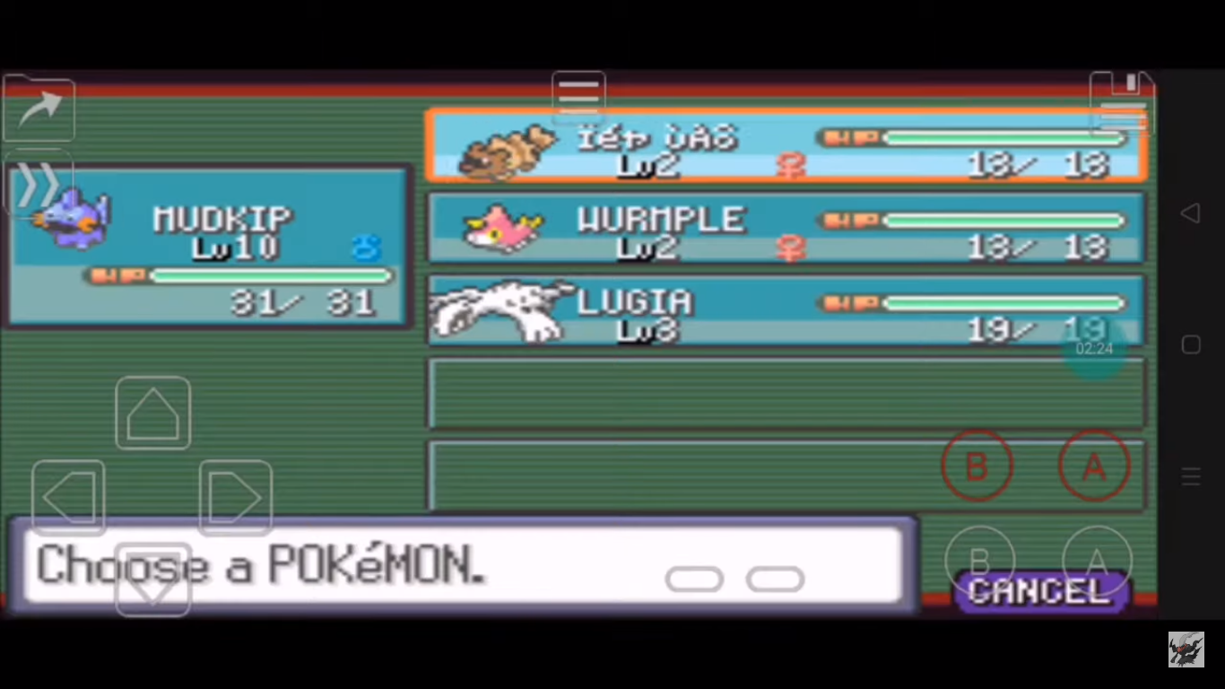 A screenshot of the party Pokemon in Pokemon Ruby.