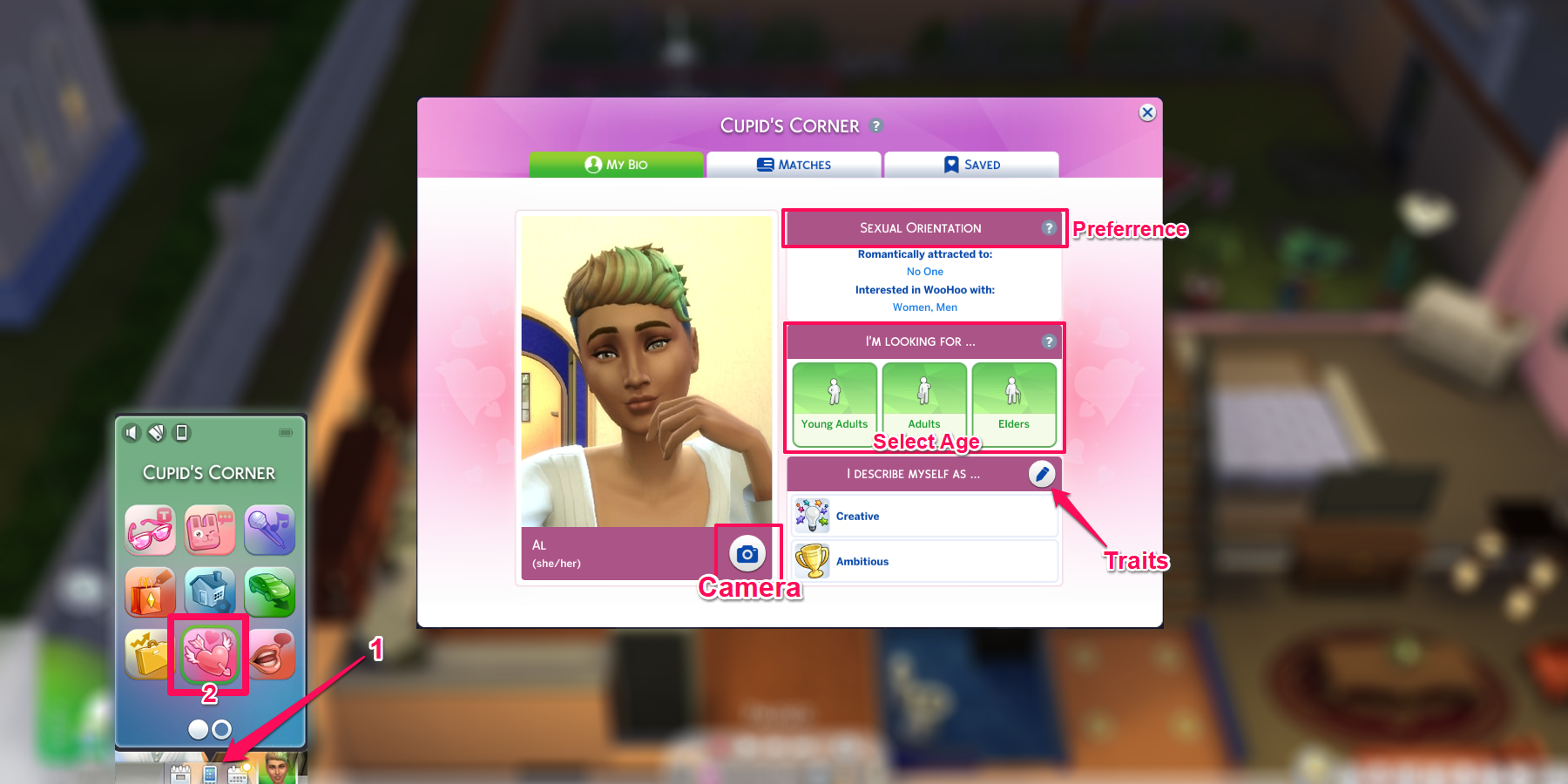 Sims 4 Cupid Corner Profile Editing