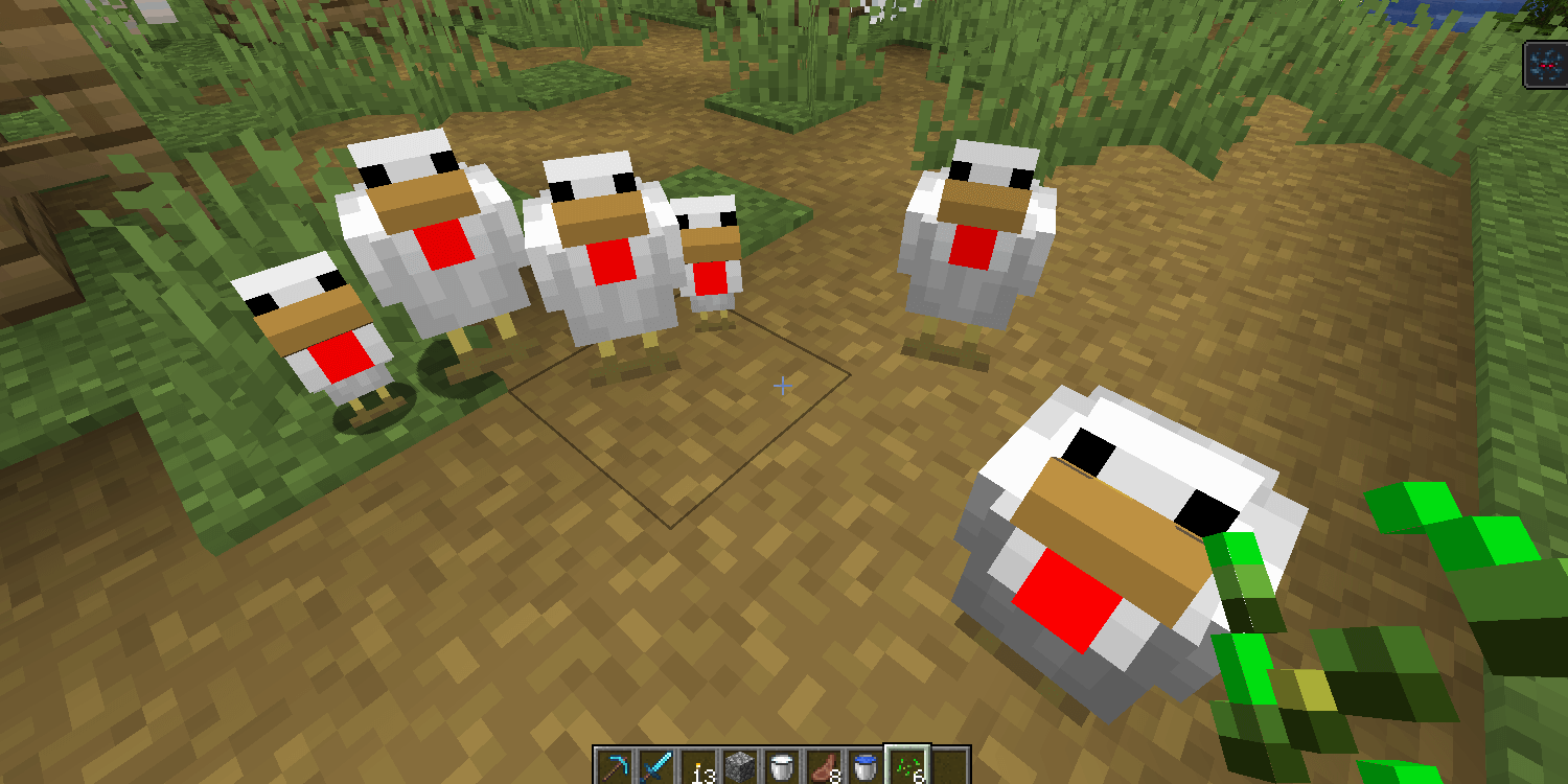 Chicken Minecraft Seed