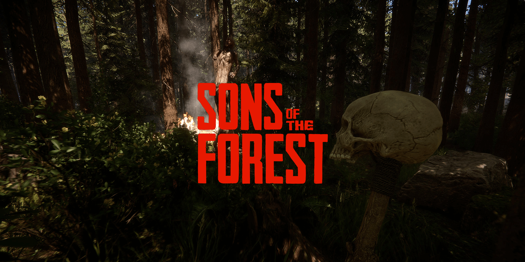 Sons of the Forest Survival Game