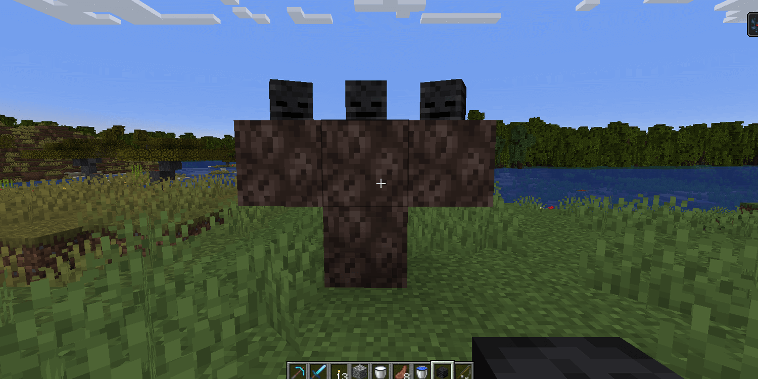 Minecraft Summoning Wither